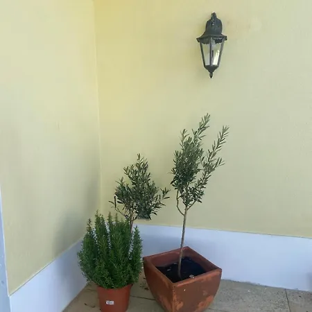 Villa Relax At Lagoa In Ericeira *